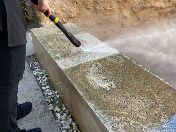 Best Deck Cleaning Services  in Roseville, MN